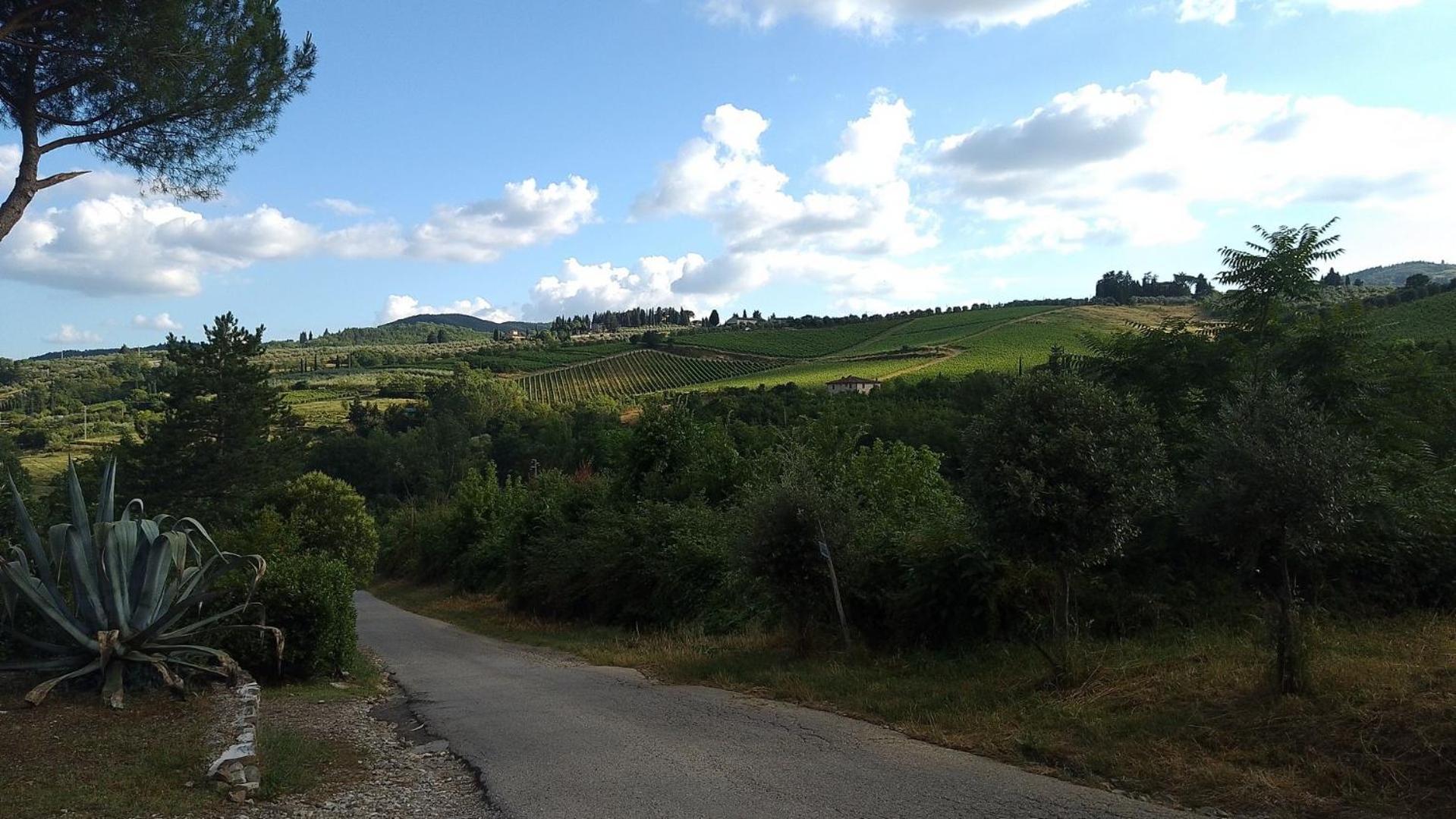 غريفي ان شنتي La Turra - Casa Di Campagna المظهر الخارجي الصورة